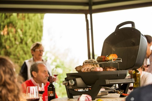Przenośny Grill Gazowy Napoleon TravelQ PRO285, Czarny