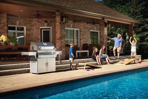 Grill Węglowy Napoleon Charcoal Professional, Stal Szlachetna