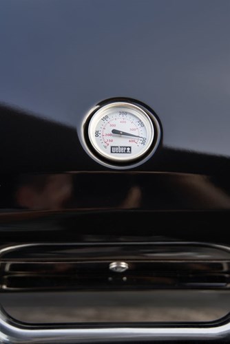 Weber Grill elektryczny Lumin Compact ze stojakiem