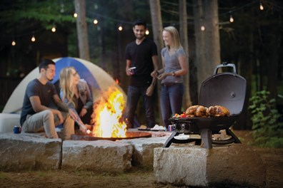 Napoleon Przenośny grill gazowy  TravelQ 285, Czarny na kartusze