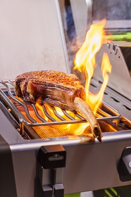 Napoleon ACCU-PROBE™ PRO X BEZPRZEWODOWY TERMOMETR