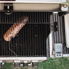 Broil King Termometr z dwiema sondami