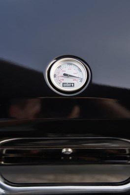 Grill  Weber elektryczny Lumin ze stojakiem