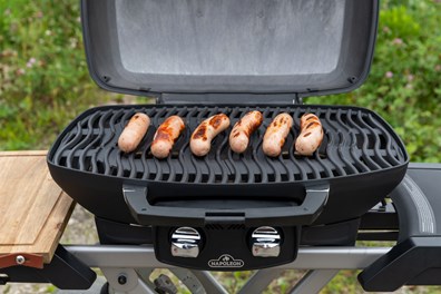 Przenośny Grill Gazowy Napoleon TravelQ285X z wózkiem,na kartusze