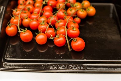 Napoleon Żeliwna Plancha emaliowana porcelaną