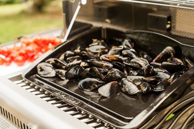 Napoleon Żeliwna Plancha emaliowana porcelaną