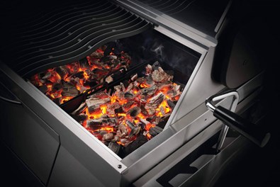 Grill Węglowy Napoleon Charcoal Professional, Stal Szlachetna