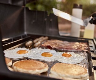 Pełnowymiarowa płyta Genesis Weber  – seria 300